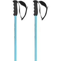 Head Worldcup Sl Skistöcke, Speed Blue/Black/White, 110