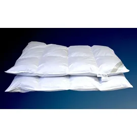 Betten Hofmann Hofmann Franken 8cm Hochsteg Winterbett Daunenbett Daunendecke 4x6 155x220 1320g - Weiß