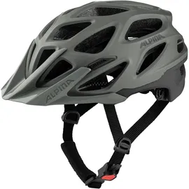 Alpina Mythos 3.0 L.E. 52-57 cm coffee/grey matt