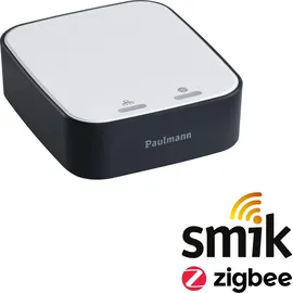 Paulmann Plug & Shine Starterset Smart Home smik Gateway + LED Gartenstrahler Pike Basisset RGBW 1 St. Schwarz/Silber