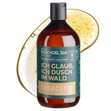 benecos Duschgel 2in1 Zirbelkiefer 500 ml