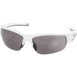 HOLEX Komfort-Schutzbrille GREY