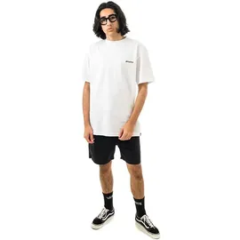 Dickies Pelican Rapids Shorts