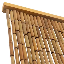vidaXL Insektenschutz Türvorhang Bambus 100 x 200 cm Braun