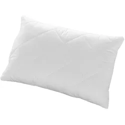 Kuschelkissen CENTA-STAR FAMOUS