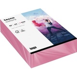 Inapa tecno Kopierpapier colors rosa DIN A5 80 g/qm 500 Blatt