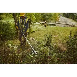 DeWalt DCMBC812N Freischneider 54V Schnittbreite 250mm