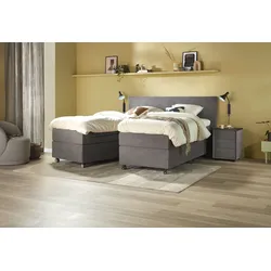 Boxspringbett Home 406 Split
