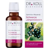 Dr. Koll Biopharm GmbH Gemmo-Mazerat schwarze Johannisbeere Dr.Koll Ribes