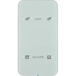 Berker Wandleuchte + Deckenleuchte Teclado Touch Sensor komfort konfiguriert, 2-fach, Polarweiß (R.1 Serie)