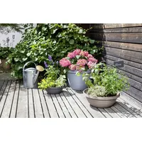 Scheurich Country Star 40 Ø 40 x 30 cm Granite Grey