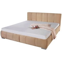Maintal Polsterbett Ausführung 1, Liegefläche B/L: 160 cm x 200 cm, kein Härtegrad, ohne Matratze beige Betten
