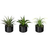 Creativ green Künstliche Zimmerpflanze Set aus Aloe, Agave und Tillandsie im Keramiktopf, 3er Set grün