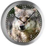 CreaDesign Funkwanduhr Funkuhr, Kinder Wanduhr, Kinderuhr, Kinderzimmer Wolf (geräuscharmes Uhrwerk) bunt