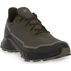 Salomon Alphacross 5 Herren Olive Night 41