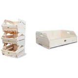 HABAU Aufbewahrungskiste Maxi 59 x 38 x 18 cm 3-tlg. beige/braun
