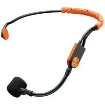 Shure SM31 FH