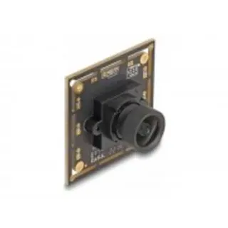 DeLock Überwachungskamera - Karte - Farbe - 2,1 MP - 1920 x 1080 - 1080p - feste