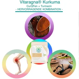 VITARAGNA liposomaler Kurkuma CurQFen Turmacin Komplex Kapseln 60 St.
