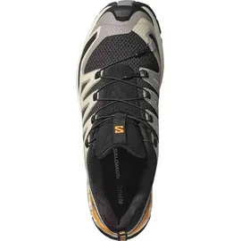 Salomon XA Pro 3D V9 Herren Black / Gull / Turmeric 46