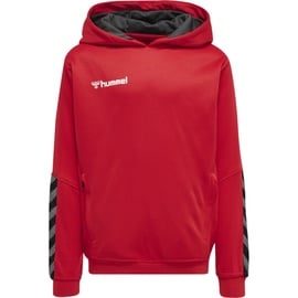 hummel Authentic Polyester Hoodie Kinder true red 176