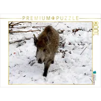 Calvendo Junges Wildschwein im Colditzer Forst 1000 Teile Puzzle