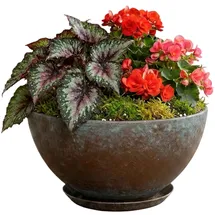 growscape Classic Home and Garden 3/807G/1 Vogue Pflanzgefäß Rosie Schüssel, 25,4 cm 10" Rosie Verwittertes Kupfer
