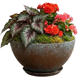 growscape Classic Home and Garden 3/807G/1 Vogue Pflanzgefäß Rosie Schüssel, 25,4 cm 10" Rosie Verwittertes Kupfer