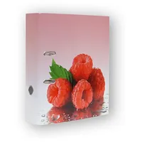 Stylex Motivordner "Himbeeren"