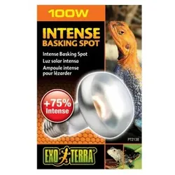 Exo Terra Intense Basking Spot 100 W