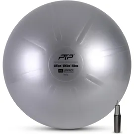 PTP Coreball Grau 75 cm