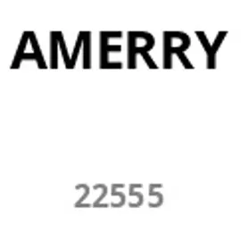 AMEWI RC-Auto AMXRock RCX10.3B Scale Crawler 6x6 Pick-Up 1:10 ARR grau (22555)