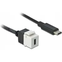 DeLock Keystone module (0.25 m), USB Kabel