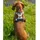 LIONTO Hundegeschirr