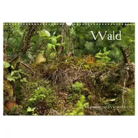 Calvendo Wald (Wandkalender 2026 DIN A3 quer), CALVENDO Monatskalender: