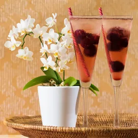 Libbey VINA Sektglas 0,192 l 12-tlg.