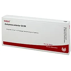 Columna Anterior Gl D 6 Ampullen