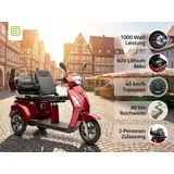 ECONELO E-Seniorenmobil Billy 2.0 3-Rad 1000 Watt Rot/Grau