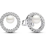 Pandora Ohrstecker Timeless Silber 293154C01