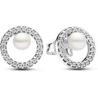 Pandora Ohrstecker Timeless Silber 293154C01
