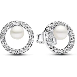 Pandora Ohrstecker Timeless Silber 293154C01