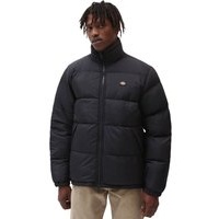 Dickies Waldenburg Jacket