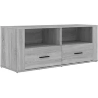 Furnicato TV-Schrank Grau Sonoma 100x35x40 cm Holzwerkstoff
