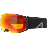Alpina Sports Skibrille FALERA MAG Q-LITE black