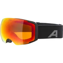 Alpina Sports Skibrille FALERA MAG Q-LITE black