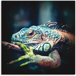 Artland Wandbild »Leguan«, Reptilien, (1 St.), als Leinwandbild, Poster in verschied. Größen Artland Farbe Bild(er): blau
