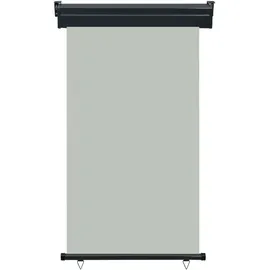 vidaXL Seitenmarkise 100 x 250 cm Grau Polyester