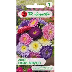 Chinesische Aster, PrinzenmischungChinesische Aster, Prinzenmischung