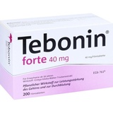 Dr. Willmar Schwabe Tebonin forte 40mg