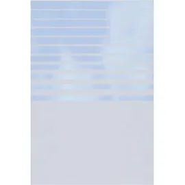 Traumgarten Sichtschutz Glas 120 x 180 cm Transparent